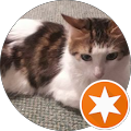 ibadat 123 princess's profile image