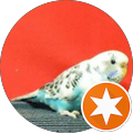Budgie Whisperer's profile image