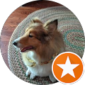 Louis Chu's profile image