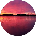 Zoubir HAMMOUDA's profile image