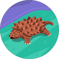 C. M. R.'s profile image