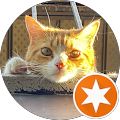 Chantal Bluteau's profile image
