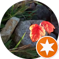 Nehal Zeid's profile image