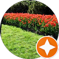 Sonia Beatrice's profile image