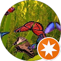 Carole Talgoy's profile image