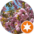 lagisore's profile image