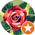 N's profile image