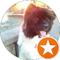 Paul Cristea's profile image