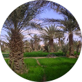 HAMIDOU EL AMLAOUI's profile image