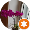 Naz Step's profile image