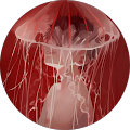 Lovena France's profile image