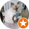 Barbara Maring's profile image