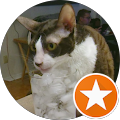 Linda Vadeboncoeur's profile image