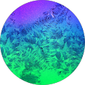 Chamseddine Hammouda's profile image