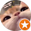 tikitamara's profile image
