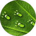 Thalie Croteau's profile image
