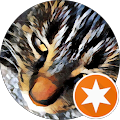 Nettie S.'s profile image