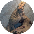 licho cruz's profile image