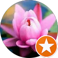Teresa Werth's profile image