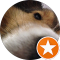 Arthur L (p2kart)'s profile image