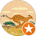 Deborah Fayant's profile image