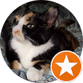 Shyreen Prasad's profile image