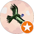 Amber Tanweer's profile image