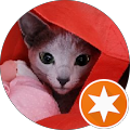Brenna S's profile image