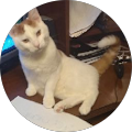 Connor Legros's profile image