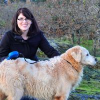 Liz Fosdick's profile image