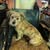 Wolfie Smith's profile image