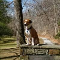 Thom Haynes's profile image