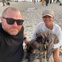 Toni Trainor's profile image