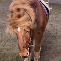 Charlotte Bucknell Reilly's profile image