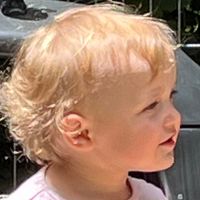 Barbara Stackhouse Jones's profile image