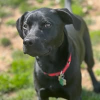 Nancy Bucceri's profile image