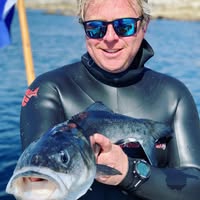 Neil Allen's profile image