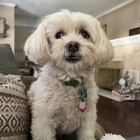 Matt Migliore's profile image