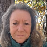 Susan Styer's profile image