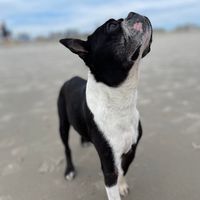 Jenn Mignone's profile image