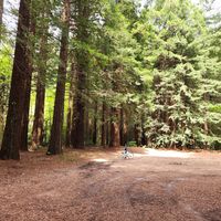 Allegra Mcgrory's profile image