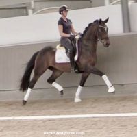 Irene Hoeflich-Wiederhold's profile image