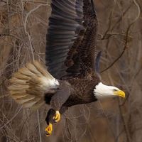 Mike Morell's profile image
