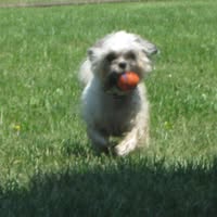 Judi Clifton Staley's profile image