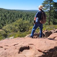 Chris Kinion's profile image