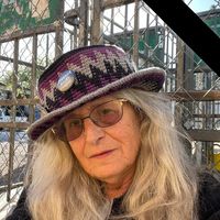 Cookie-Carolyn Jean Todd Skid's profile image