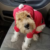 Woodrow Nowell's profile image