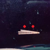 Toni Hale Gonzalez's profile image