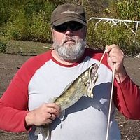 Pete Wilms's profile image