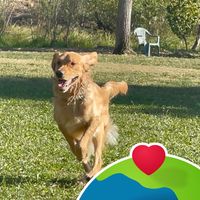 Charlene Carte's profile image